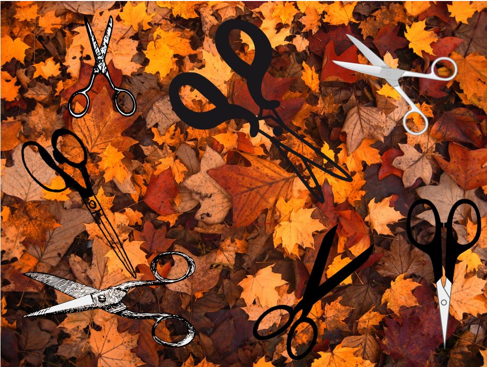 Ciseaux de couture posés sur des feuilles d'automne, ambiance projets couture de saison