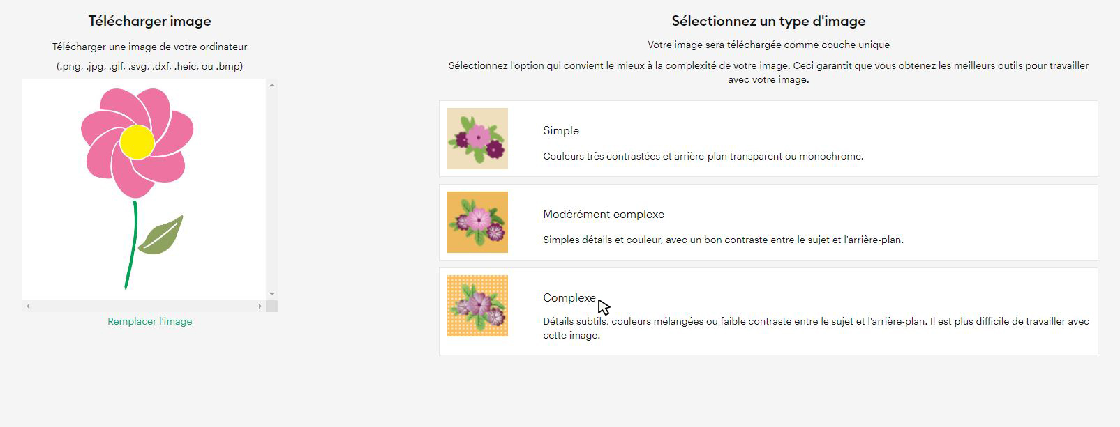 Cricut Design Space – choisir la complexité Complexe pour conserver tous les détails du motif