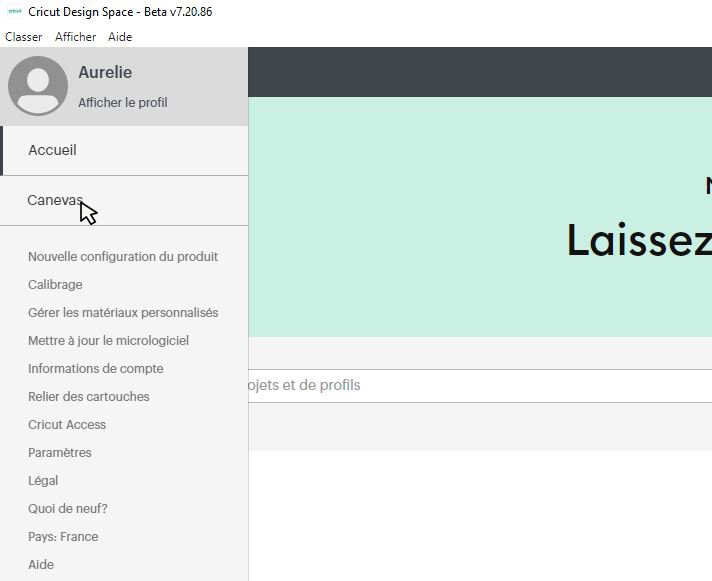 Cricut Design Space – sélectionner l’option Canevas dans le menu déroulant